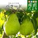  Iwate префектура .. прямая поставка от производителя JA... центр груша обыкновенная Ballade 5 kilo (10 шар из 16 шар ) нет нет бесплатная доставка 