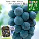  Okayama префектура .. прямая поставка от производителя JA ясная погода. страна Okayama Цу гора главный место новый pio-ne super товар примерно 2 kilo (4. из 5.). земля культивирование . для бытового использования бесплатная доставка .. виноград виноград 