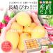 [ delay .....] Mother's Day gift Nagasaki prefecture .. direct delivery from producing area JA Nagasaki ... high class house cultivation Nagasaki loquat 500g vanity case 3L from L size (8 sphere from 12 sphere ) free shipping Mother's Day loquat 