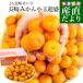  Nagasaki префектура .. прямая поставка от производителя JA Nagasaki ... Nagasaki мандарин маленький шар S из SS размер 5 kilo меласса .mi can бесплатная доставка . лет . подарок по случаю конца года 