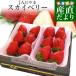  Tochigi префектура .. прямая поставка от производителя JA... Sky Berry примерно 280g×2P(6 шарик из 12 шарик ×2P) бесплатная доставка клубника клубника .* прохладный рейс отправка 