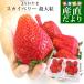  Tochigi префектура .. прямая поставка от производителя JA... Sky Berry супер крупный 280g×2P (5 шарик из 6 шарик ×2P) клубника клубника * прохладный рейс 