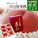  Yamanashi prefecture .. direct delivery from producing area JA.... Ichinomiya main place Ichinomiya. Special preeminence peach premium approximately 1.5 kilo 6 sphere go in .. Bon Festival gift gift free shipping 