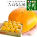  Wakayama префектура .. прямая поставка от производителя JA.. ... нет хурма большой шар 3L размер 3.75 kilo (14 шар входить ) устрица .. хурма бесплатная доставка 