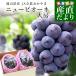  Okayama префектура производство новый pio-ne синий превосходящий товар и больше примерно 1.2 kilo (600g×2.) бесплатная доставка виноград .. вид нет виноград pio-ne чёрный виноград * прохладный рейс 
