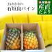 沖縄県より産地直送 JAおきなわ 石垣島パイン2玉 (合計約2キロ) 沖縄パイン パイナップル 送料無料