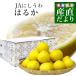  Ehime префектура JA..... ..2L из M размер примерно 2.5 kilo (10 шар из 17 шар передний и задний (до и после) ) бесплатная доставка .. orange Hal ka запад . мир 