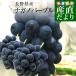 長野県産 ナガノパープル 合計1.2キロ(2房から3房) ぶどう 葡萄 送料無料 ※クール便
