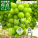 山梨県産　JAフルーツの画像