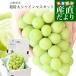  Yamagata префектура производство очень большой автомобиль in мускат примерно 800g(1.) бесплатная доставка виноград .. виноград мускат белый виноград 