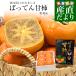  Kumamoto префектура из прямая поставка от производителя JA.......... хурма специальный отбор товар несессер 5L размер примерно 1.8 kilo (6 шар ) бесплатная доставка хурма .. вид нет хурма вид нет хурма подарок 