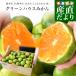  Kyushu из прямая поставка от производителя Kumamoto префектура производство сахар раз выбор другой зеленый house мандарин красный превосходящий S из 2S размер примерно 4 kilo (45 шар из 60 шар передний и задний (до и после) ) бесплатная доставка mi can меласса .