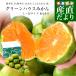  Kyushu из прямая поставка от производителя Kumamoto префектура производство сахар раз выбор другой зеленый house мандарин красный превосходящий L из M размер примерно 2 kilo (16 шар из 21 шар передний и задний (до и после) )mi can меласса . бесплатная доставка . покупка 