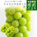  Yamanashi производство JA.... высококлассный house культивирование автомобиль in мускат примерно 1 kilo (2.) бесплатная доставка виноград виноград вид нет виноград подарок лето подарок подарок на Bon Festival . средний изначальный 