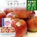  Nagano префектура JA... дешево замутненный .si nano "губа" примерно 3 kilo (8 шар из 10 шар ввод ) бесплатная доставка яблоко Apple прохладный рейс 
