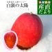  Hokkaido производство .. манго [ белый серебряный. солнце ]L размер 1 шар (310g из 349g)...- бесплатная доставка 
