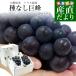 [ подарок на Bon Festival * лето подарок ] Yamanashi префектура производство house культивирование вид нет .. примерно 1 kilo (500g×2. ввод ) бесплатная доставка .. виноград * прохладный рейс подарок подарок на Bon Festival 