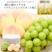  Okayama префектура JA все сельское хозяйство .... фрукты комплект Okayama белый персик Royal 4 шар ( всего примерно 1.2 kilo ) & высококлассный house культивирование автомобиль in мускат .. синий превосходящий товар 1.( примерно 600g) бесплатная доставка 