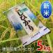 新米 平成29年産 コシヒカリ 5kg 徳島県産　※北海道・沖縄ねの遠隔地はお届け不可