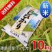 新米 平成29年産コシヒカリ 10kg 徳島県産/宅配 送料無料