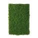 [ искусственный цветок a-tifi автомобиль ru цветок ] Moss ma Tomos a-15757-018 [asca Aska ]