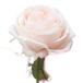 [ искусственный цветок a-tifi автомобиль ru цветок ] rose свет розовый a-31829-013 [asca Aska ]