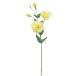  искусственный цветок a-tifi автомобиль ru цветок Турция gi both X2...X3 желтый a-33695-010 [asca Aska ]