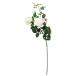  искусственный цветок a-tifi автомобиль ru цветок b Len da rose X2...X1 белый a-33915-001 [asca Aska ]