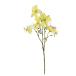  искусственный цветок a-tifi автомобиль ru цветок nouzenkazla×5 желтый a-34112-010 [asca Aska ]