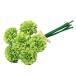  искусственный цветок a-tifi автомобиль ru цветок Mini pompomam Bunch (1 пачка 6шт.@) зеленый a-34124-051a [asca Aska ]