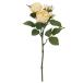  искусственный цветок a-tifi автомобиль ru цветок rose X2...X3 античный желтый a-34380-010a [asca Aska ]
