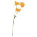  искусственный цветок a-tifi автомобиль ru цветок мак X3...X1 Gold желтый a-34384-040y [asca Aska ]