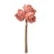  искусственный цветок a-tifi автомобиль ru цветок rose Bunch (1 пачка 3шт.@) античный розовый a-34407-003a [asca Aska ]