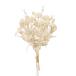  искусственный цветок a-tifi автомобиль ru цветок рис цветок Bunch (1 пачка 3шт.@) крем белый a-34509-011 [asca Aska ]