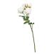  искусственный цветок a-tifi автомобиль ru цветок rose ×3...×2 белый a-34617-001 [asca Aska ]