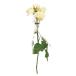  искусственный цветок a-tifi автомобиль ru цветок rose ×3...×2 soft желтый a-34617-020 [asca Aska ]