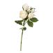  искусственный цветок a-tifi автомобиль ru цветок rose X3...X2 свет розовый a-34756-013 [asca Aska ]