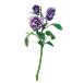  искусственный цветок a-tifi автомобиль ru цветок анютины глазки ×3...×1 violet a-34802-035 [asca Aska ]