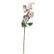  искусственный цветок a-tifi автомобиль ru цветок rose X7...X6 розовый a-34815-003 [asca Aska ]