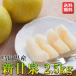  предварительный заказ Tottori префектура производство груша новый . Izumi 2.5kg(5 шт ~8 шт )...... подарок .... сельское хозяйство . красный груша . сверху сельское хозяйство .9 месяц сверху . после отгрузка 