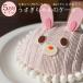 バースデーケーキ　キャラクターケーキ うさぎちゃんのケーキ 誕生日ケーキ  動物ケーキ いちごのケーキ 3Dケーキ