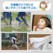 ����� ���傱���Ɛ��� ��� �� �D �u���V ���j�t�H�[�� �C�� ���� �V���c ��ƒ� �� ���� �������� ���΂� �т�����t���b�V�� �T���R�[ �֘A�摜1