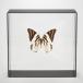 KY-1015 бабочка. образец коллекция - goromota Imai 