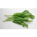 to.... Taiwan production height mountain legume seedling 200g/ sack 