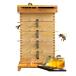 5 floor molasses bee nest box Mitsuba chi nest box Japanese cedar material . bee box kit .. finish wax ...5 floor. .. box .. moth repellent waterproof easy install 