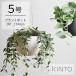  gold to- plan to pot 201_174mm plant pot 5 number simple stylish hanging weight .. type wire hanging planter hanging pot ornament interior indoor decorative plant KINTO