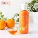 3個セット 植物生まれのオレンジ地肌シャンプーS ポンプタイプ 400ml×3 スカルプケア ノンシリコン