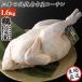 �y�①�z�{�� �n�{ �ی{ ��H   �������� �n�Ɩ���33�N����� �{�O�a   �O�a�̏��{���É��R�[�`���ی{������ 1.6kg 5�`6�l�p