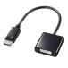 DisplayPort-DVI DP ѴץAD-DPDV04