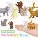  мягкость .. Chan 50 шт. комплект sy5307 squishy . день подарок лето праздник 